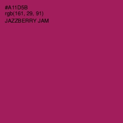 #A11D5B - Jazzberry Jam Color Image