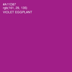 #A11D87 - Violet Eggplant Color Image