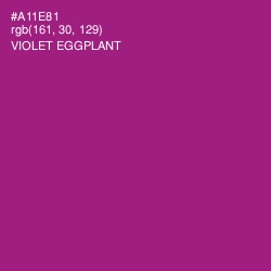 #A11E81 - Violet Eggplant Color Image