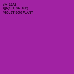 #A122A2 - Violet Eggplant Color Image