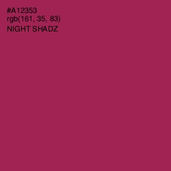 #A12353 - Night Shadz Color Image