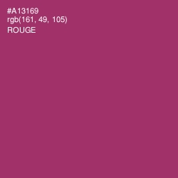 #A13169 - Rouge Color Image