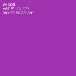 #A133B1 - Violet Eggplant Color Image