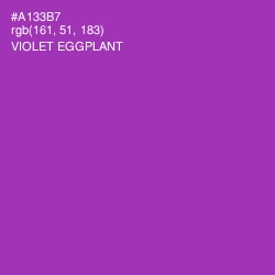 #A133B7 - Violet Eggplant Color Image