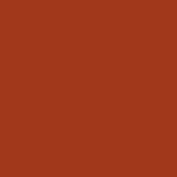 #A1371C - Tabasco Color Image
