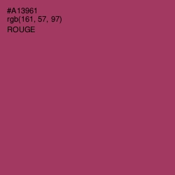 #A13961 - Rouge Color Image