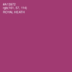 #A13972 - Royal Heath Color Image