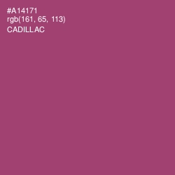 #A14171 - Cadillac Color Image