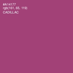 #A14177 - Cadillac Color Image