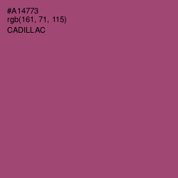 #A14773 - Cadillac Color Image