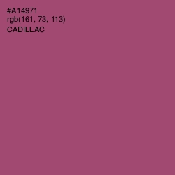 #A14971 - Cadillac Color Image