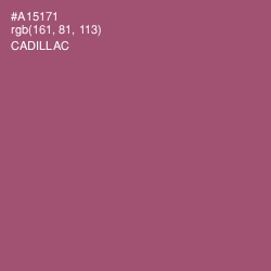 #A15171 - Cadillac Color Image