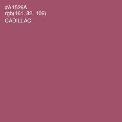 #A1526A - Cadillac Color Image