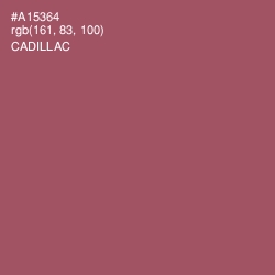 #A15364 - Cadillac Color Image