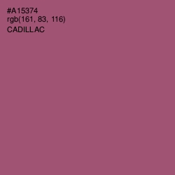 #A15374 - Cadillac Color Image