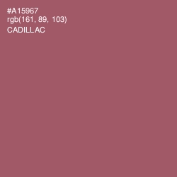#A15967 - Cadillac Color Image