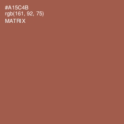 #A15C4B - Matrix Color Image