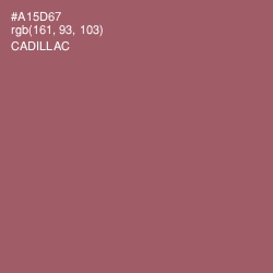 #A15D67 - Cadillac Color Image