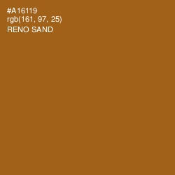 #A16119 - Reno Sand Color Image