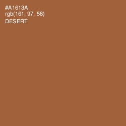 #A1613A - Desert Color Image