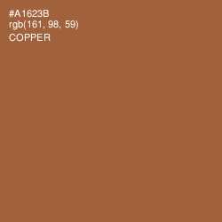 #A1623B - Copper Color Image