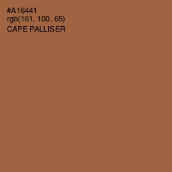 #A16441 - Cape Palliser Color Image