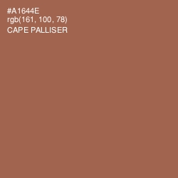 #A1644E - Cape Palliser Color Image