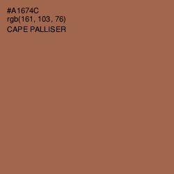 #A1674C - Cape Palliser Color Image