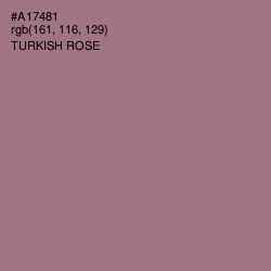 #A17481 - Turkish Rose Color Image