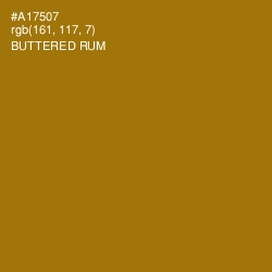 #A17507 - Buttered Rum Color Image