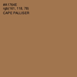 #A1764E - Cape Palliser Color Image