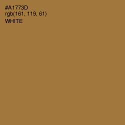 #A1773D - Copper Color Image