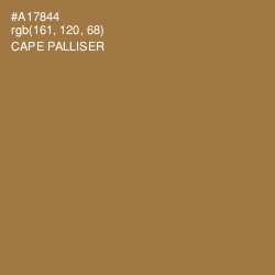 #A17844 - Cape Palliser Color Image