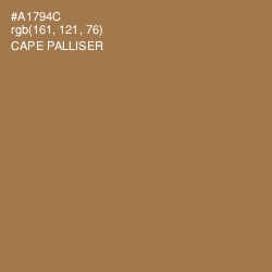 #A1794C - Cape Palliser Color Image