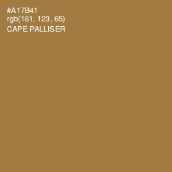 #A17B41 - Cape Palliser Color Image