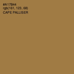 #A17B44 - Cape Palliser Color Image