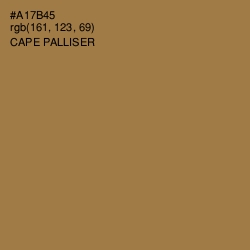 #A17B45 - Cape Palliser Color Image