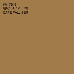 #A17B49 - Cape Palliser Color Image