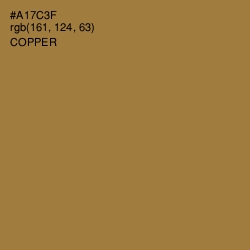 #A17C3F - Copper Color Image