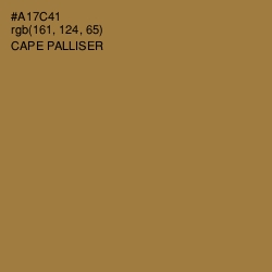 #A17C41 - Cape Palliser Color Image