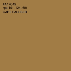 #A17C45 - Cape Palliser Color Image