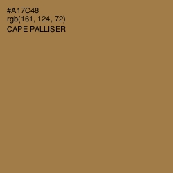 #A17C48 - Cape Palliser Color Image