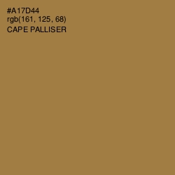 #A17D44 - Cape Palliser Color Image