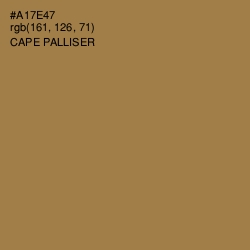 #A17E47 - Cape Palliser Color Image