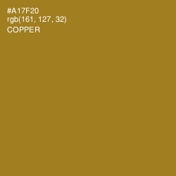 #A17F20 - Copper Color Image