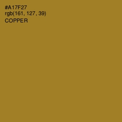 #A17F27 - Copper Color Image