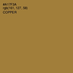 #A17F3A - Copper Color Image