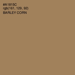 #A1815C - Barley Corn Color Image
