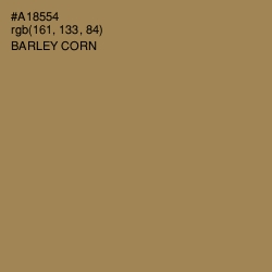 #A18554 - Barley Corn Color Image