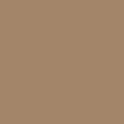 #A1866A - Sandal Color Image